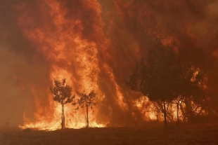 Esta coincidencia espacial entre incendios y asentamientos humanos, explica, se manifiesta en todos los continentes