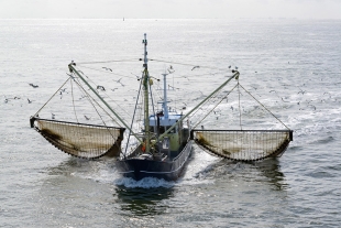 Alcanzaron un importante acuerdo sobre las posibilidades de pesca en aguas comunitarias 