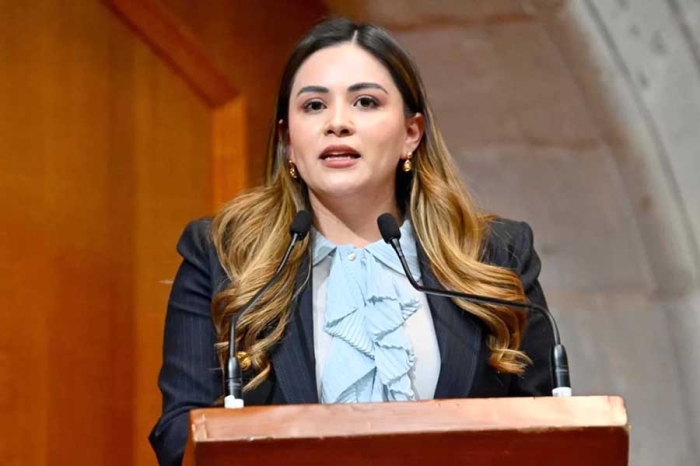 La legisladora advirtió que la falta de esta figura en el Código Penal deja en indefensión a muchas víctimas