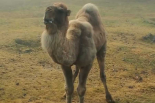 Entre las acciones implementadas se encuentra la modificación en la dieta