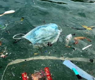 Cubrebocas &quot;invaden&quot; playas de Hong Kong