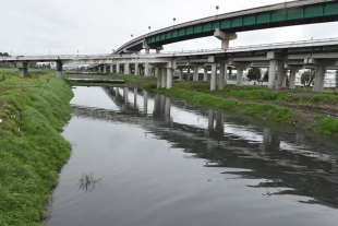 Buscan utilizar agua de la cuenca Lerma en zonas de riego