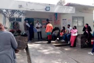 Una familia integrada por seis personas resultaron intoxicadas por consumir hongos, por lo que fueron trasladados a un hospital.