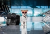 ¡Atención, viajeros! Estados Unidos aplicará nuevas medidas para cruzar perros