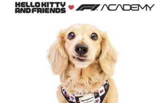 La colaboración se conforma de un arnés con correa