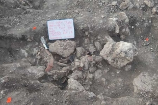 Hallaron un total de 26 entierros de antiguos habitantes mayas