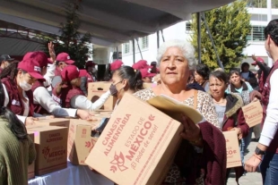 El dictamen establece que el Estado deberá asignar anualmente los recursos presupuestarios suficientes,
