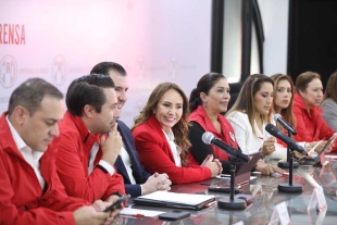 La senadora mexiquense aseguró que el abstencionismo alcanzó el 88 por ciento