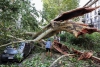 Cinco muertos en Italia debido a las tormentas y los incendios