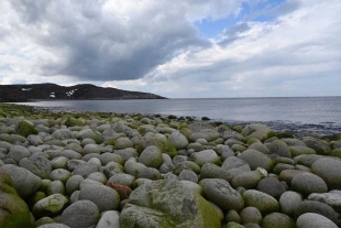 El equipo de especialistas explicó que esta zona resulta especialmente sensible al cambio climático