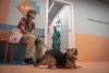 ¡Bien ahí! Abre en Italia la primera clínica veterinaria para mascotas de los más vulnerables