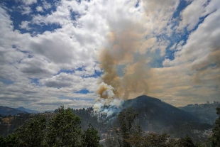 Los extremos de cada condición fueron calculados a partir de registros diarios de temperatura máxima,