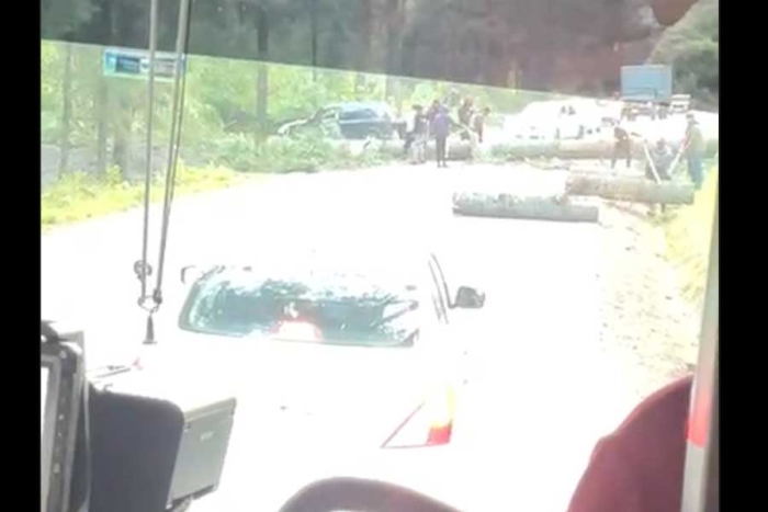 De acuerdo con organizaciones ambientales, los uniformados en muchas ocasiones son superados en número y armamento por los talamontes