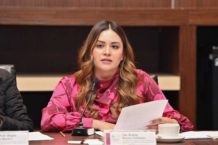 Romero detalló que la iniciativa podría beneficiar a más de 4.4 millones de menores