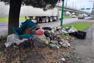 Los vecinos afectados, piden sanciones severas a quienes sean sorprendidos tirando basura en la calle