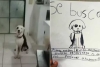 ¡Owww! Abuelita recupera a su mascota extraviada gracias a un dibujo hecho por su nieta