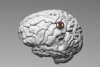 ¡Cero y van dos! Neuralink ya implantó su chip cerebral en un segundo paciente