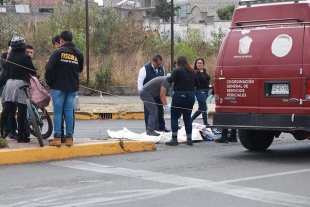 El conductor del vehículo fue detenido en el lugar 