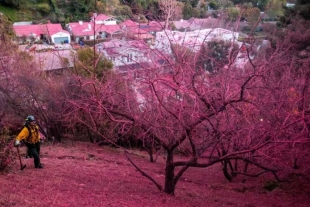 Los encargados de apagar el fuego se dieron cuenta que el agua se evapora muy rápido