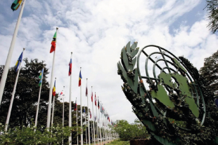 Banderas de distintos países ondean en la sede del Programa de la ONU para el Medio Ambiente en Kenia, donde se realiza la Asamblea UNEA-7 sobre la crisis medioambiental global.