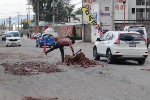 Tapa baches