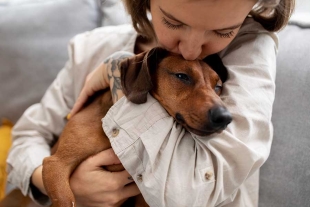 Los cuidadores de perros (33%) y gatos (31%) estaban casi empatados, aunque las diferencias generacionales ofrecieron datos llamativos.