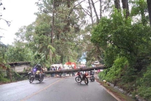 Los hechos se registraron en el municipio de Valle de Bravo.