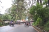 Muere motociclista al caerle un árbol encima en Valle de Bravo