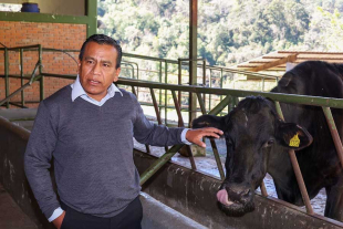 Estrategias de manejo de ganado y forrajes contribuyen al cuidado ambiental y a la prevención de incendios forestales.