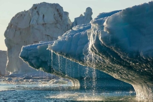 Resulta bastante preocupante que estas estructuras perdieran una media de 273 mil millones de toneladas de hielo al año desde el 2002