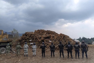 El decomiso se realizó en una zona boscosa de la comunidad de Tecolotepec