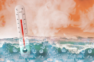 En 2025, los océanos del planeta alcanzaron su mayor nivel de calor registrado, confirmando el avance del cambio climático y su impacto directo en el sistema climático global