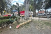 Terminan piezas de la ciclovía en jardineras