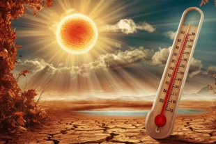 Se anticipa que en algunos estados del norte del país las temperaturas puedan superar los 45 grados centígrados.