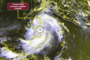 El SMN informó que la tormenta tropical &quot;Carlotta&quot; continúa intensificándose, sus bandas nubosas ocasionan lluvias puntuales fuertes en Nayarit, Jalisco, Colima y Michoacán