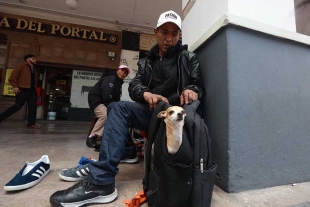 Fiel compañera