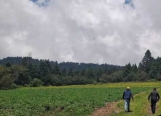 Hallan sin vida a adulto mayor en Zinacantepec