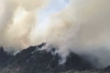 Mueren tres personas en incendio forestal de Donato Guerra