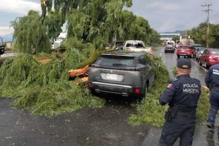 Hasta el momento, elementos de seguridad permanecen en el sitio 