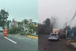 El percance ocasionó afectaciones viales en el carril lateral, mientras continúan las labores para retirar las unidades siniestradas.