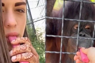 Días después del suceso el veterinario del zoológico Vasily Piskoyov alertó sobre un deterioro del animal,