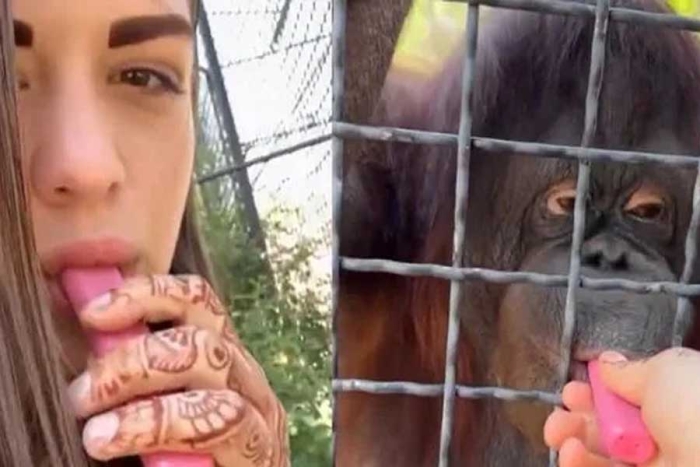 Días después del suceso el veterinario del zoológico Vasily Piskoyov alertó sobre un deterioro del animal,