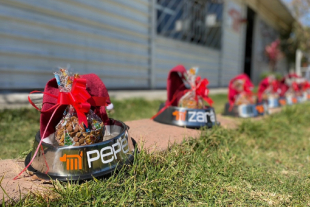 Lomitos del CTC del Metro ayudan a los Reyes Magos a recibir cartas y cuidar el planeta, recogiendo deseos sin globos y promoviendo la adopción.