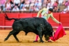 ¿Y México? Colombia prohíbe a nivel nacional las corridas de toros