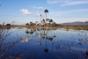 En los últimos 50 años, los ríos de la sabana brasileña perdieron un 27% de su caudal