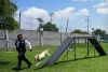Autoridades mexicanas se refuerzan con perros en la lucha contra el gusano barrenador