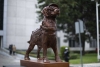 ¡Gracias, “Frida”! Develan una nueva estatua en honor a la perrita rescatista