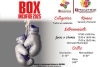 Boxeo para todos: Inicia tu camino en el ring