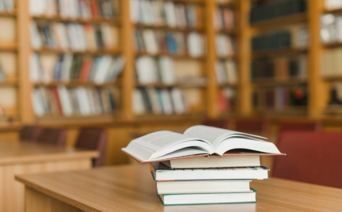 Para esta ocasión, el concurso literario estará conformado por 4 categorías: Cuento, Novela, Novela Gráfica y Poesía.