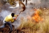 Aprueba Legislatura del Edoméx reconocer los derechos de la naturaleza